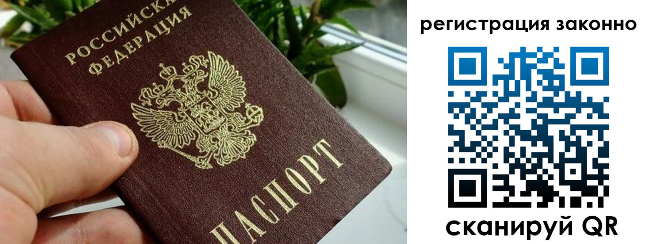 прописка гарантия в Рославле